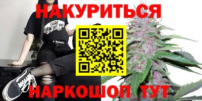 Альфа ПВП Моздок