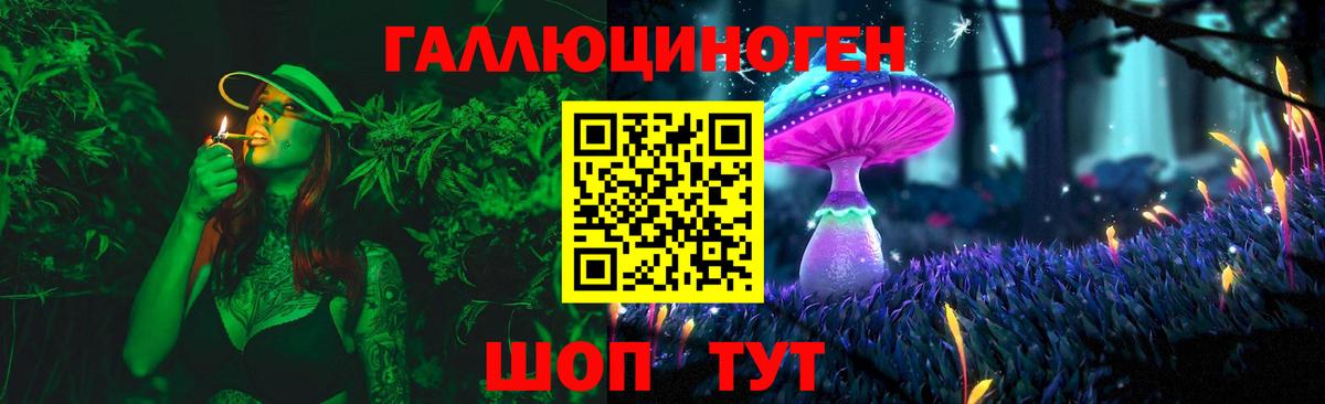 Псилоцибиновые грибы прущие грибы  Псилоцибиновые грибы Magic Shrooms  Удомля  Вход с VPN 